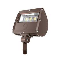 Morris 30 watt Selectable volt 5000K Daylight Bronze Flood Light Fixture