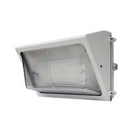 Morris Selectable watt 120/277 volt CCT Selectable LED Wall Pack