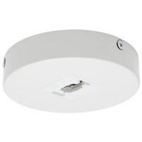 Nuvo Lighting White Single Monopoint Adapter