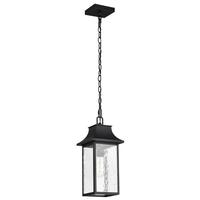 Nuvo Lighting 1 Lamp 17" 120 volt Matte Black Clear Water Glass Outdoor Hanging Lantern Fixture