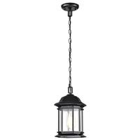 Nuvo Lighting 1 Lamp 12" 120 volt Matte Black Clear Glass Outdoor Hanging Lantern Fixture