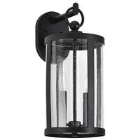 View 2 Light 120 volt Matte Black Wall Lantern