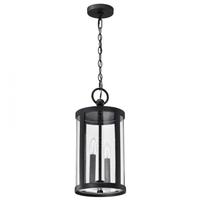 View 2 Lamp 120 volt - Matte Black Hanging Lantern