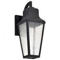 View 1 Lamp 120 volt Matte Black Wall Lantern