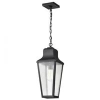 Nuvo Lighting 1 Lamp 120 volt Matte Black Hanging Lantern