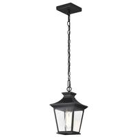 Nuvo Lighting 1 Lamp 12" 120 volt Matte Black Clear Glass Outdoor Hanging Lantern Light Fixture