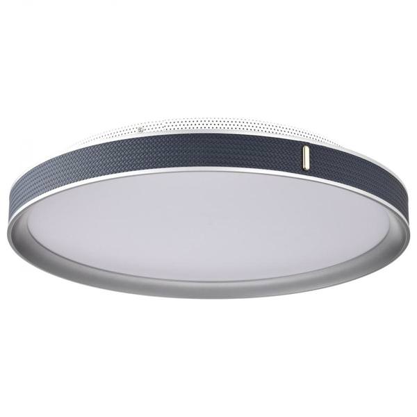 20" 40 watt 120/277 volt 3000K Natural White Gray LED Flush Mount Light Fixture