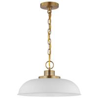 View 1 Lamp 15" 120 volt Matte White/Burnished Brass Indoor Pendant Light Fixture 