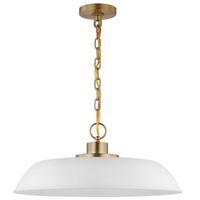 View 1 Lamp 20" 120 volt Matte White/Burnished Brass Indoor Pendant Light Fixture