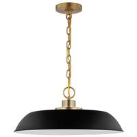 View 1 Lamp 20" 120 volt Matte Black/Burnished Brass Indoor Pendant Light Fixture