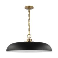 View 1 Lamp 24" 120 volt Matte Black/Burnished Brass Indoor Pendant Light Fixture