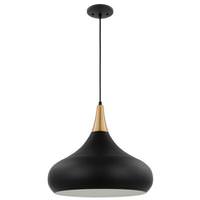 View 1 Lamp 18" 120 volt Matte Black/Burnished Brass Indoor Pendant Light Fixture 