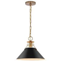 View 1 Lamp 13" 120 volt Matte Black/Burnished Brass Indoor Pendant Light Fixture