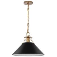 View 1 Lamp 16.5" 120 volt Matte Black/Burnished Brass Indoor Pendant Light Fixture