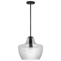 View 1 Lamp Black/Silver Clear Ribbed Glass Indoor Pendant Light Fixture
