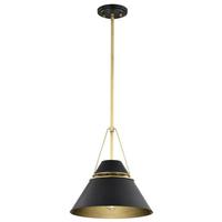 Nuvo Lighting 1 Lamp Matte Black Adina Pendant Light Fixture