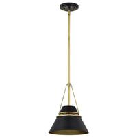 View 1 Light Matte Black Adina Indoor Pendant Light Fixture