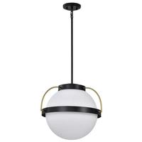 Nuvo Lighting 1 Lamp Matte Black Lakeshore Indoor Pendant Light Fixture