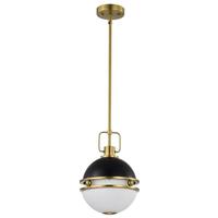 View 1 Light Matte Black Everton Indoor Pendant Light Fixture
