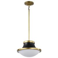 Nuvo Lighting 1 Light Matte Black Lafayette Indoor Pendant Light Fixture