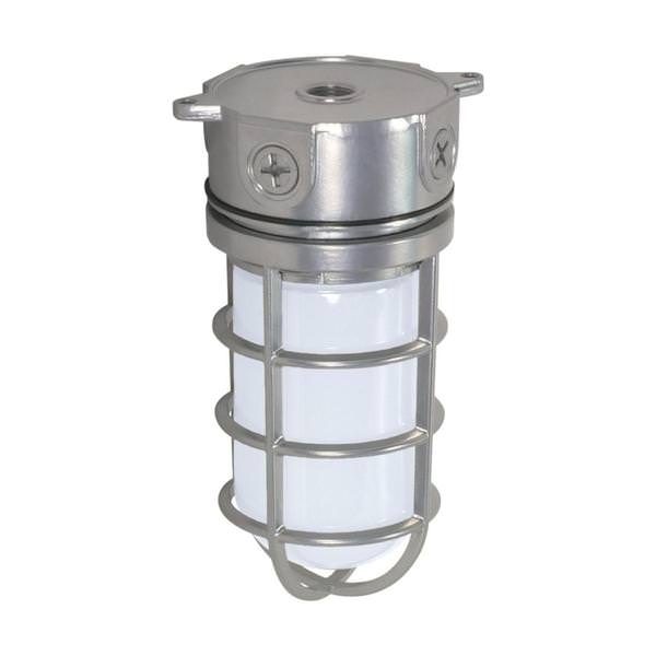1 Lamp 100 watt Metallic Silver Vapor Proof Incandescent Fixture