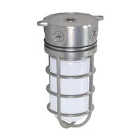 Nuvo Lighting 1 Lamp 100 watt Metallic Silver Vapor Proof Incandescent Fixture
