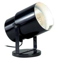 Nuvo Lighting 1 lamp 120 volt Indoor Black Utility Plant Lamp