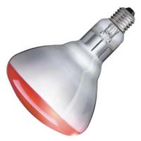 Philips 250 watt 230/250 volt BR125 European Medium Screw Base Dimmable