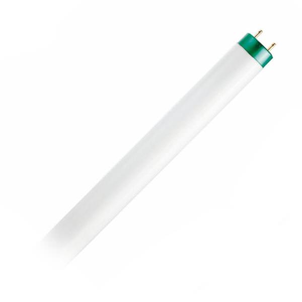 4' 32 watt 137 volt T8 Medium Bi-Pin Base 6500K Daylight LED Light Bulb