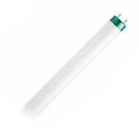 Philips 4' 32 watt 137 volt T8 Medium Bi-Pin Base 6500K Daylight LED Light Bulb