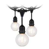 Satco 24' 24 watt Black 2200K Warm White LED String Light Set