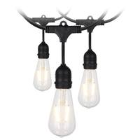 Satco 24' 24 watt 120 volt Black 2200K Indoor/Outdoor LED String Light Set