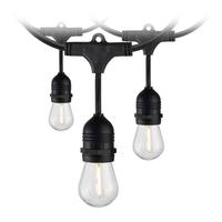 Satco 24' 24 watt 120 volt Black 2200K Warm White Indoor/Outdoor LED String Light Set (2 Pack)