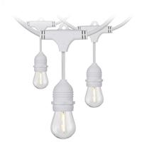 Satco 24' 12 watt 120 volt White 2200K Warm White Indoor/Outdoor LED String Light Set