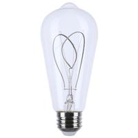 Satco 6 watt 120 volt ST19 Medium Screw Base 2700K Warm White LED Light Bulb