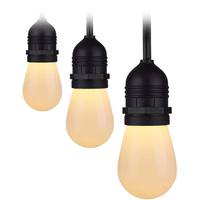 Satco 24' 12 watt 120 volt Black CCT Selectable Indoor/Outdoor LED String Light Set 