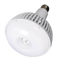 Satco 80 watt 120/277 volt Exclusionary Mogul Screw Base 4000K Cool White LED Light Bulb