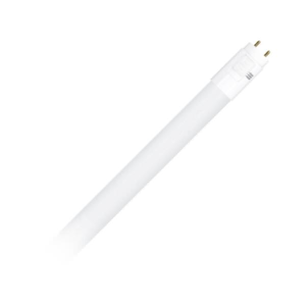 2' 8 watt 120/277 volt T8 Medium Bi-Pin Base CCT Selectable LED Light Bulb