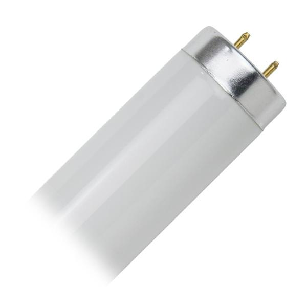 18" 15 watt 120 volt T12 Medium Bi-Pin Base 2700K Warm White Florescent Light Bulb