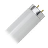 Major 18" 15 watt 120 volt T12 Medium Bi-Pin Base 2700K Warm White Florescent Light Bulb