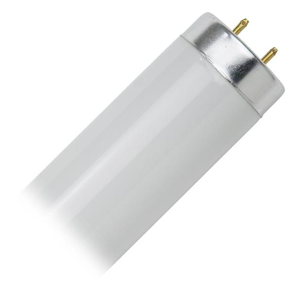 40 watt 48" 101 volt T12 Medium Bi-Pin Base 4100K Cool White Fluorescent Light Bulb