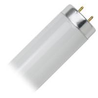 Sunlite 40 watt 48" 101 volt T12 Medium Bi-Pin Base 4100K Cool White Fluorescent Light Bulb