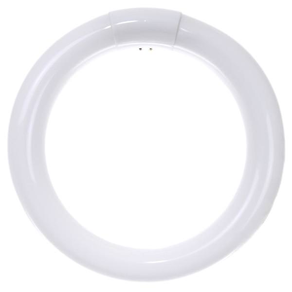 22 watt T9 4-Pin Base 4100K Cool White Fluorescent Light Bulb