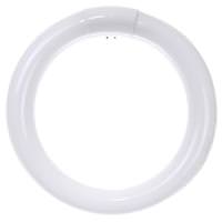 Sunlite 22 watt T9 4-Pin Base 4100K Cool White Fluorescent Light Bulb