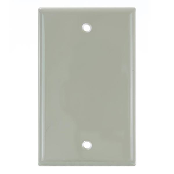 1 Gang Ivory Blank Wallplate