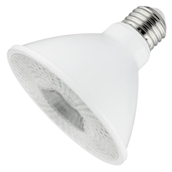 10 watt 120 volt PAR30 Medium Screw Base 5000K Daylight LED Light Bulb
