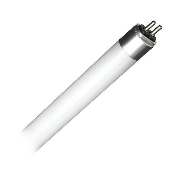 12 watt 24" 120/277 volt T5 Miniature Bi-Pin Base 3000K Natural White LED Light Bulb