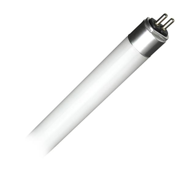 4' 25 watt 120/277 volt T5 Miniature Bi-Pin Base Ballast Bypass 5000K Daylight LED Light Bulb