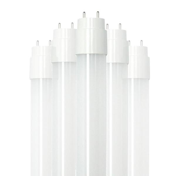 4' 12 watt 120/277 volt T8 Medium Bi-Pin Base 5000K Daylight Direct Wire (10 Pack)