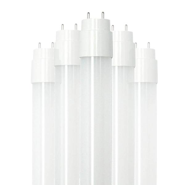 12 watt 120/277 volt T8 Medium Bi-Pin Base 5000K Daylight LED Light Bulb (25 Pack)